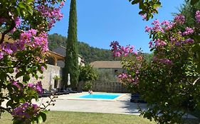 Domaine Les Buis