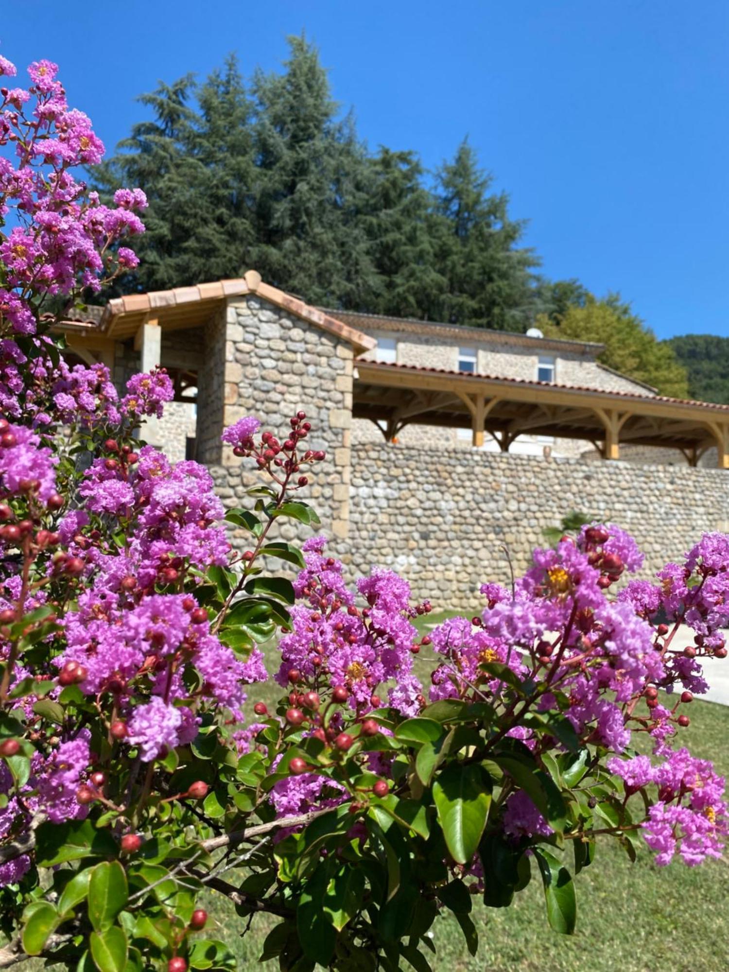 Bed and Breakfast Domaine Les Buis à Saint-Fortunat-sur-Eyrieux Extérieur photo